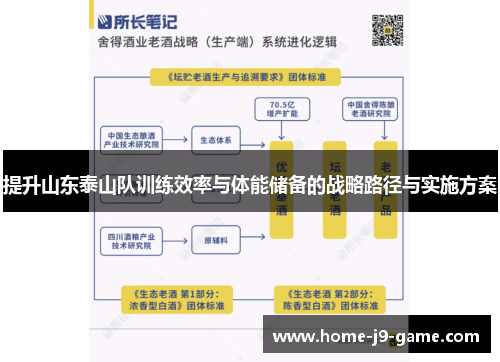 提升山东泰山队训练效率与体能储备的战略路径与实施方案