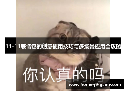 11-11表情包的创意使用技巧与多场景应用全攻略