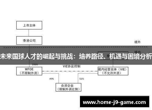 未来国球人才的崛起与挑战：培养路径、机遇与困境分析