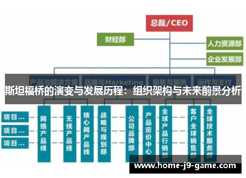 斯坦福桥的演变与发展历程：组织架构与未来前景分析