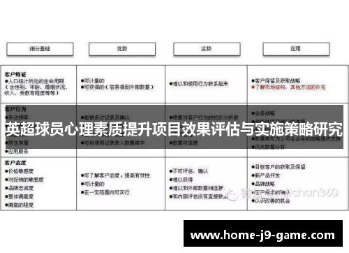 英超球员心理素质提升项目效果评估与实施策略研究